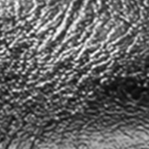Paylor - Image 6