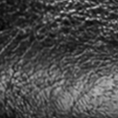Ravi - Image 7